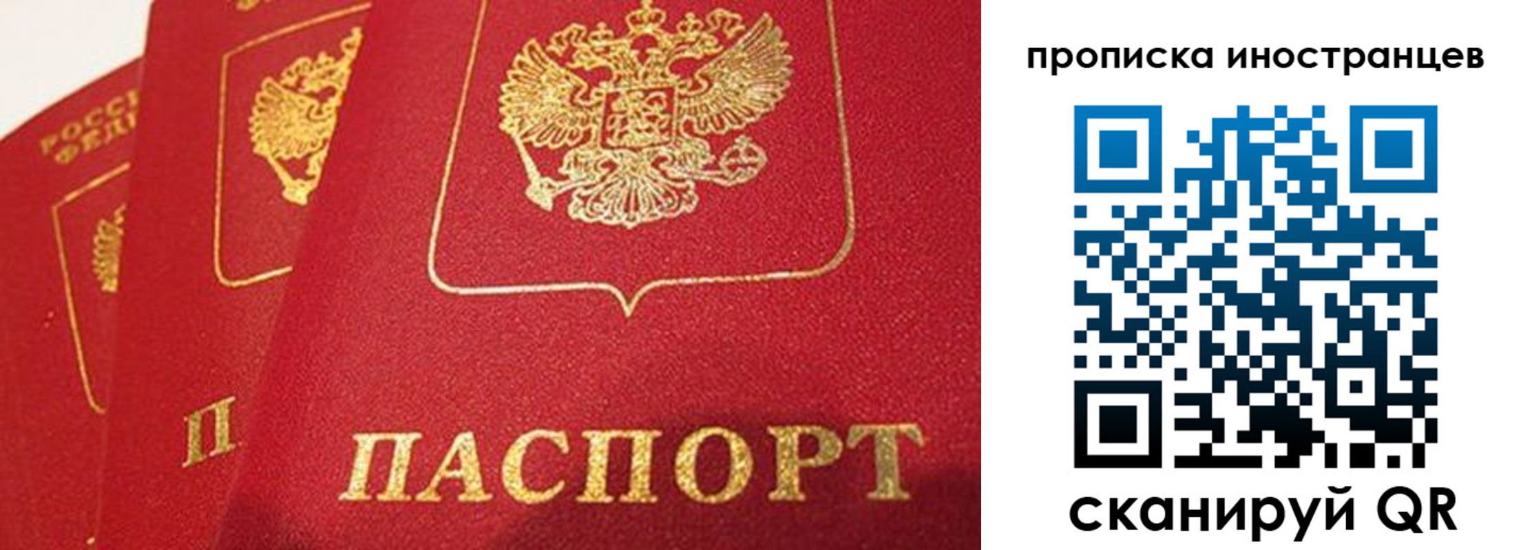 прописка поиск в Челябинской области